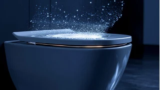 Godt renhold og moderne løsninger som dusjtoalett, forbedrer både hygiene og komfort. Det er mange spørsmål rundt hygiene blant annet om et åpent dolokk fører til smitte. Vi ser nærmere på forskning, løsninger og tiltak.